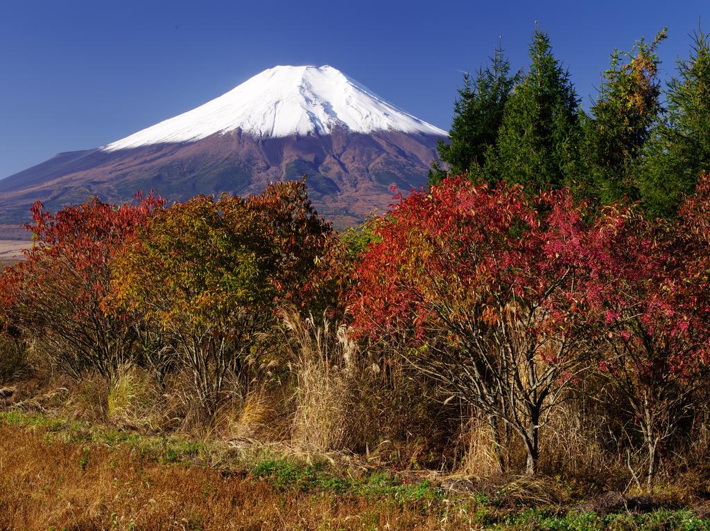 忍野村 哈拉诺亚旅馆酒店 外观 照片